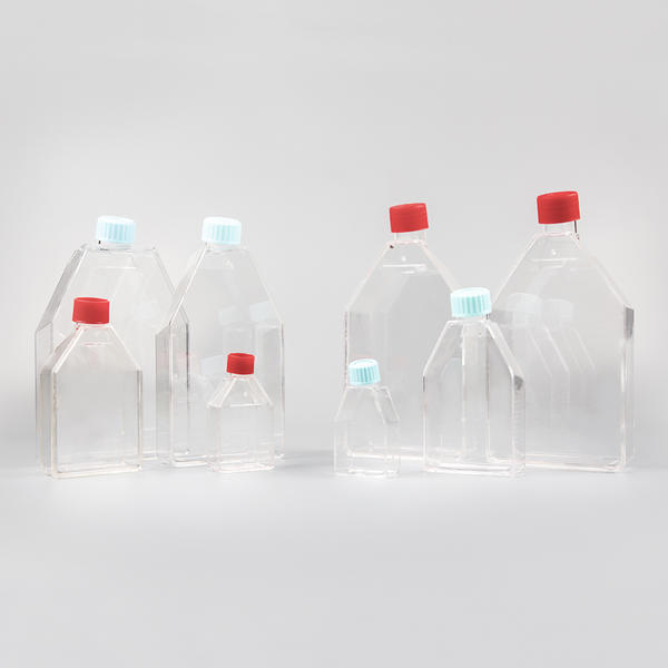 Why Bulk Purchases of Cell Culture Flasks Are Cost-Effective 