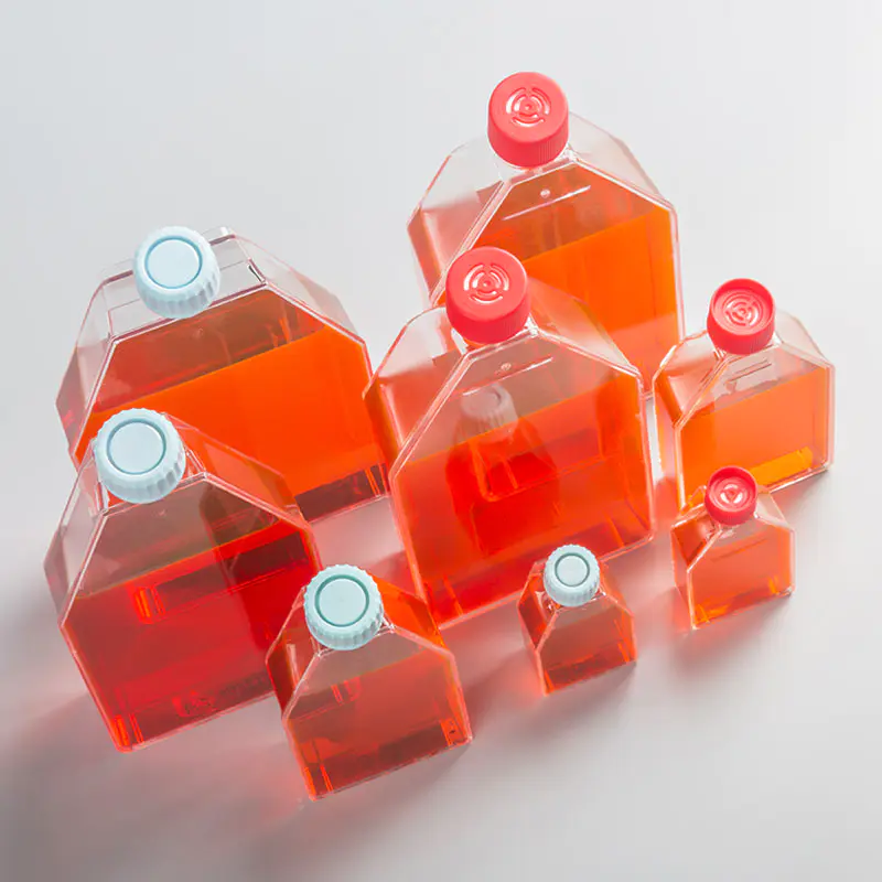 A Guide to Maintaining and Reusing Cell Culture Flasks